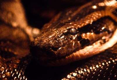 61500_00106.jpg