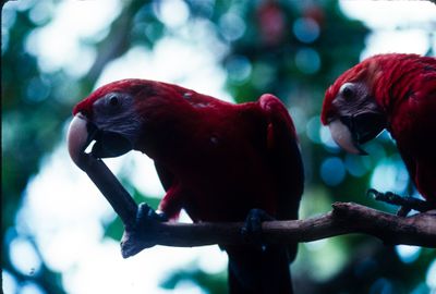 61500_00405.jpg