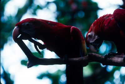 61500_00406.jpg