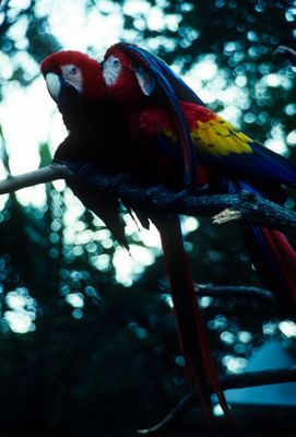 61500_00702.jpg