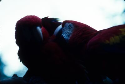 61500_00710.jpg