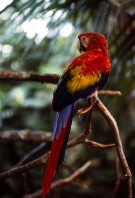 61500_00809.jpg