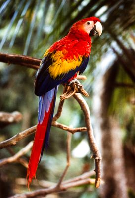 61500_01001.jpg