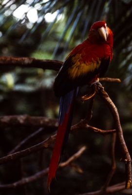 61500_01006.jpg