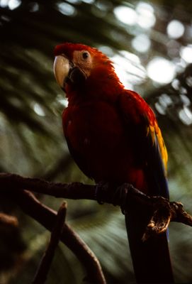 61500_01013.jpg