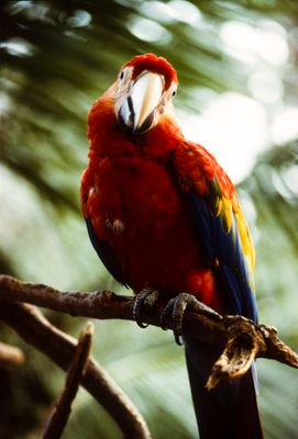 61500_01019.jpg