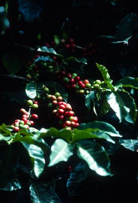 g13/04/318004/3/175788971.1e059f43.JPEG