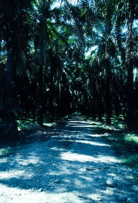 61501_00209.jpg