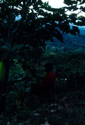 g13/04/318004/3/175788982.b657ce95.JPEG