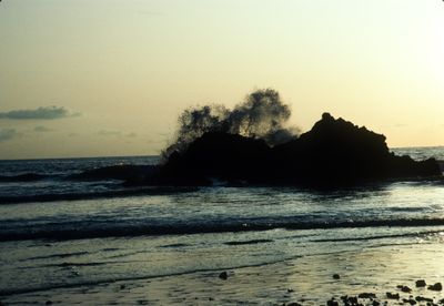 61506_00118.jpg