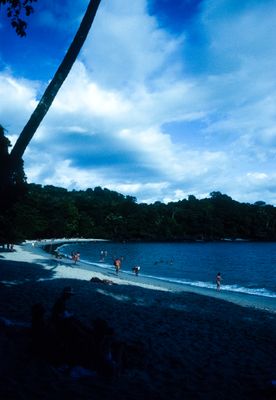61506_00303.jpg