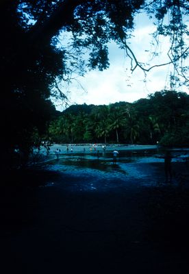 61506_00306.jpg