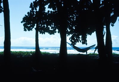 61506_00317.jpg