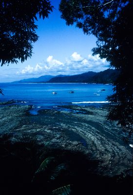 61506_00405.jpg