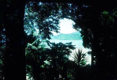 61506_00416.jpg