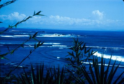 61506_00509.jpg