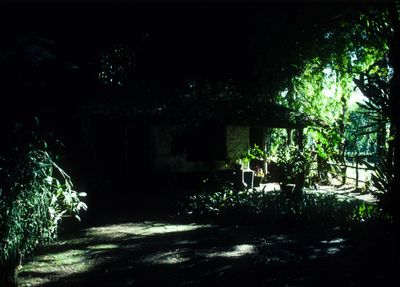61521_00303.jpg