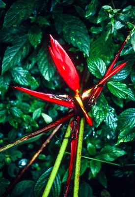 61521_00319.jpg