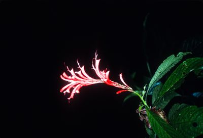 61521_00406.jpg