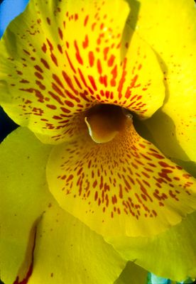 61521_00502.jpg