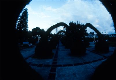 61521_00603.jpg