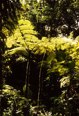 g13/04/318004/3/175789106.41cd812a.JPEG