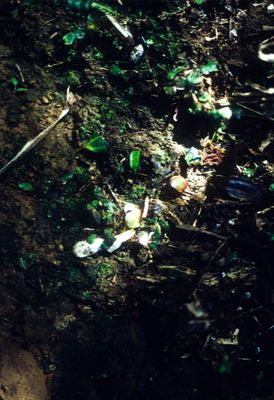 61534_00106.jpg