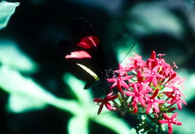 61534_00305.jpg