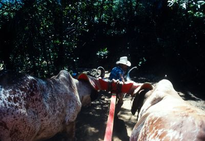 61537_00218.jpg