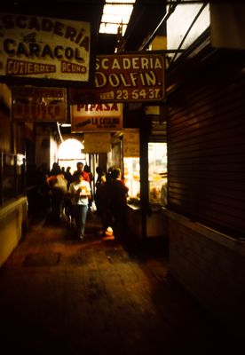 61539_00314.jpg