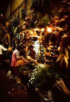 61539_00316.jpg