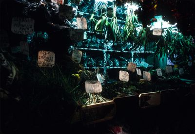 61539_00415.jpg