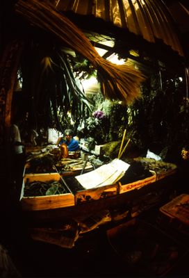 61539_00508.jpg