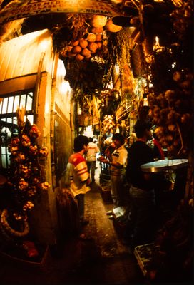 61539_00512.jpg