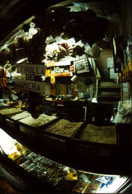 61539_00513.jpg