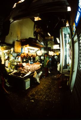 61539_00518.jpg
