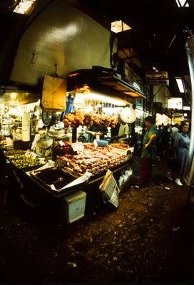 61539_00519.jpg