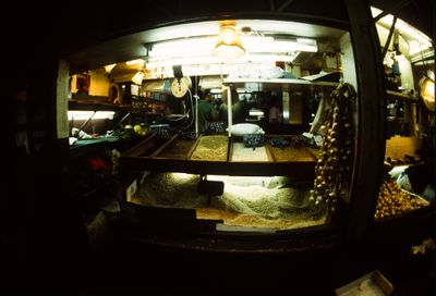 61539_00607.jpg