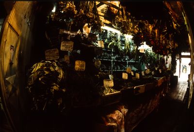 61539_00908.jpg