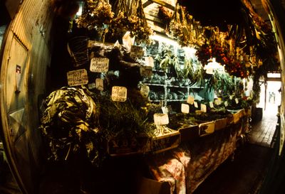 61539_00909.jpg