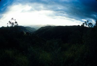 61543_00409.jpg