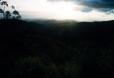 61543_00415.jpg