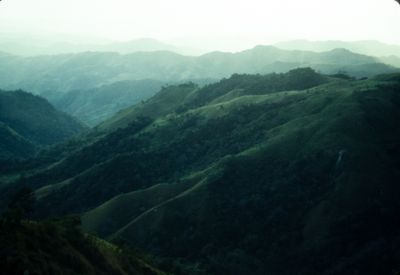 61543_00416.jpg