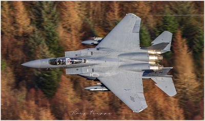 F15-flagjpg.jpg