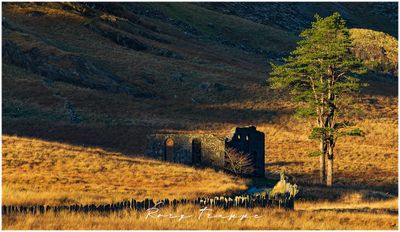 Cwmorthin