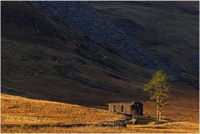 Low sun Cwmorthin.jpg