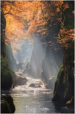 Fairy Glen