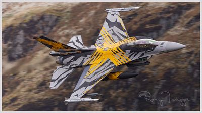 2021 XTM X-Tiger, the special painted F-16 that celebrates 70 years of Belgian Air Component’s 31st Tiger Squadron