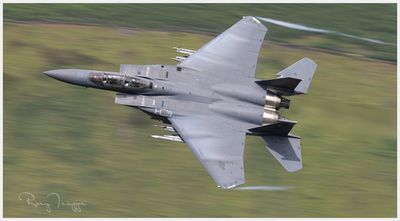 Thur F15.jpg