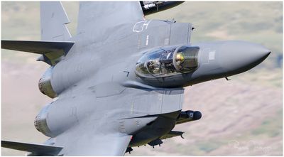 F15-late afternoon.jpg